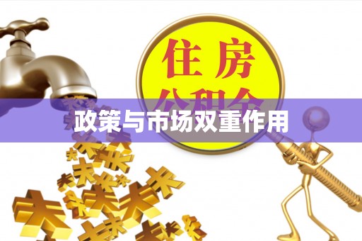 克孜勒苏柯尔克孜政策与市场双重作用