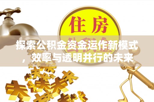 克孜勒苏柯尔克孜探索公积金资金运作新模式，效率与透明并行的未来