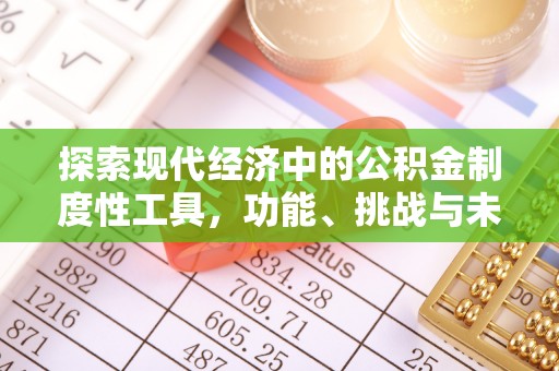 克孜勒苏柯尔克孜探索现代经济中的公积金制度性工具，功能、挑战与未来
