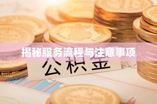 克孜勒苏柯尔克孜揭秘服务流程与注意事项