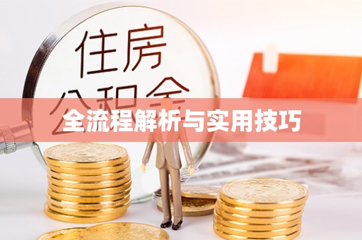 克孜勒苏柯尔克孜全流程解析与实用技巧