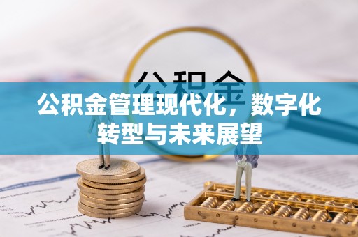克孜勒苏柯尔克孜公积金管理现代化，数字化转型与未来展望