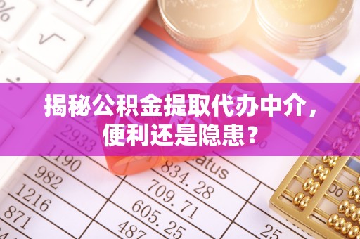 克孜勒苏柯尔克孜揭秘公积金提取代办中介，便利还是隐患？