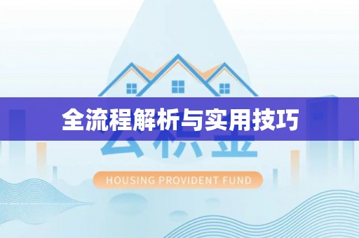 克孜勒苏柯尔克孜全流程解析与实用技巧