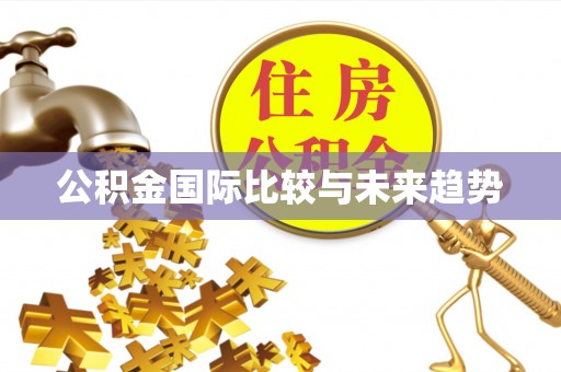 克孜勒苏柯尔克孜公积金国际比较与未来趋势
