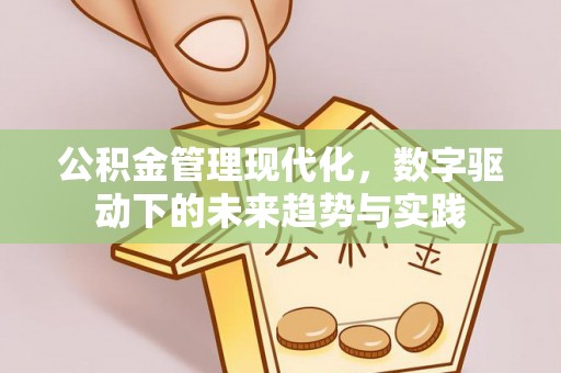 克孜勒苏柯尔克孜公积金管理现代化，数字驱动下的未来趋势与实践