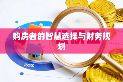 克孜勒苏柯尔克孜购房者的智慧选择与财务规划