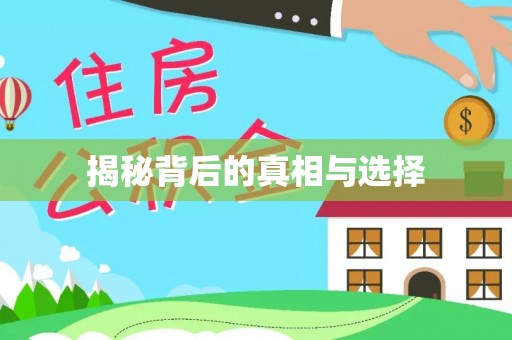 克孜勒苏柯尔克孜揭秘背后的真相与选择