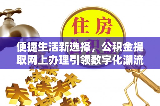 克孜勒苏柯尔克孜便捷生活新选择，公积金提取网上办理引领数字化潮流