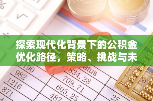 克孜勒苏柯尔克孜探索现代化背景下的公积金优化路径，策略、挑战与未来展望