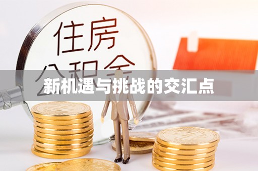 克孜勒苏柯尔克孜新机遇与挑战的交汇点