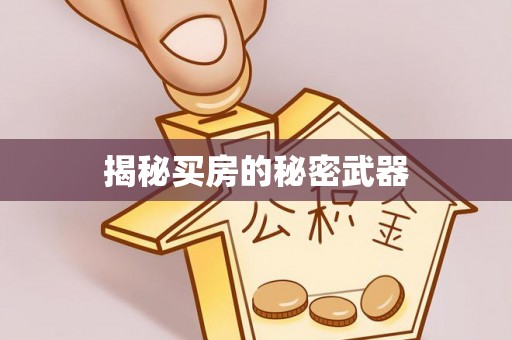 克孜勒苏柯尔克孜揭秘买房的秘密武器