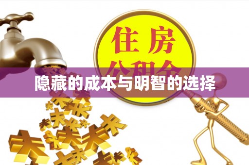 克孜勒苏柯尔克孜隐藏的成本与明智的选择