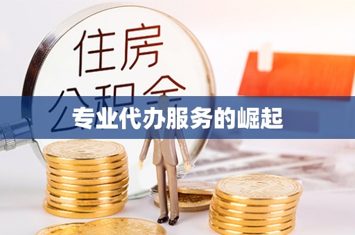 克孜勒苏柯尔克孜专业代办服务的崛起