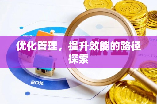 克孜勒苏柯尔克孜优化管理，提升效能的路径探索