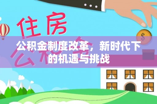 克孜勒苏柯尔克孜公积金制度改革，新时代下的机遇与挑战