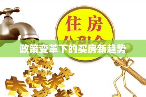 克孜勒苏柯尔克孜政策变革下的买房新趋势