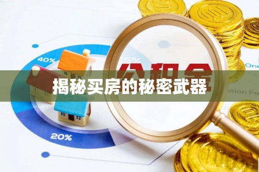 克孜勒苏柯尔克孜揭秘买房的秘密武器