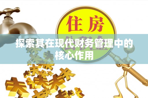 克孜勒苏柯尔克孜探索其在现代财务管理中的核心作用