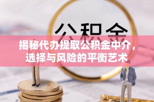 克孜勒苏柯尔克孜揭秘代办提取公积金中介，选择与风险的平衡艺术