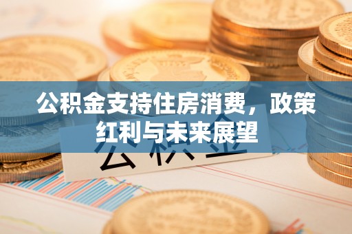 克孜勒苏柯尔克孜公积金支持住房消费，政策红利与未来展望