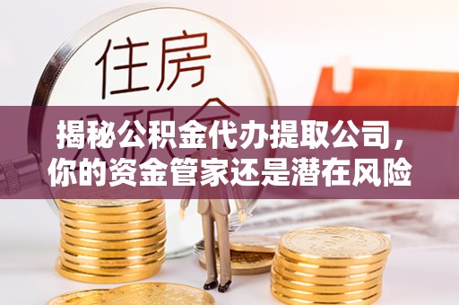 克孜勒苏柯尔克孜揭秘公积金代办提取公司，你的资金管家还是潜在风险？