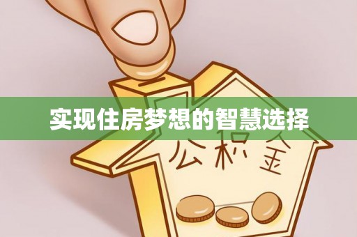 克孜勒苏柯尔克孜实现住房梦想的智慧选择