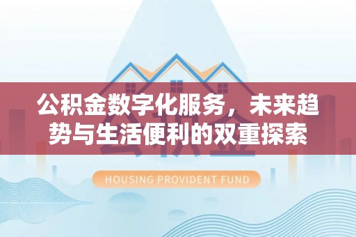 克孜勒苏柯尔克孜公积金数字化服务，未来趋势与生活便利的双重探索