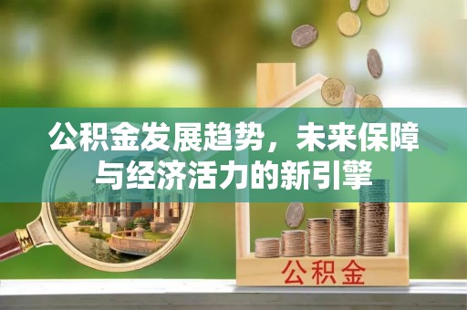 克孜勒苏柯尔克孜公积金发展趋势，未来保障与经济活力的新引擎
