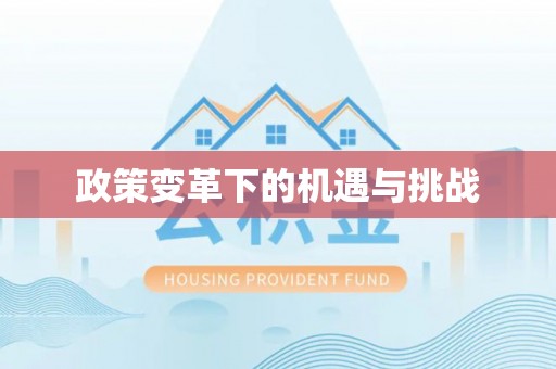 克孜勒苏柯尔克孜政策变革下的机遇与挑战