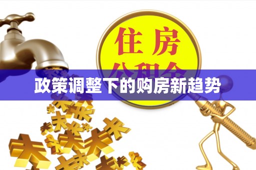 克孜勒苏柯尔克孜政策调整下的购房新趋势