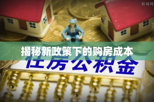 克孜勒苏柯尔克孜揭秘新政策下的购房成本