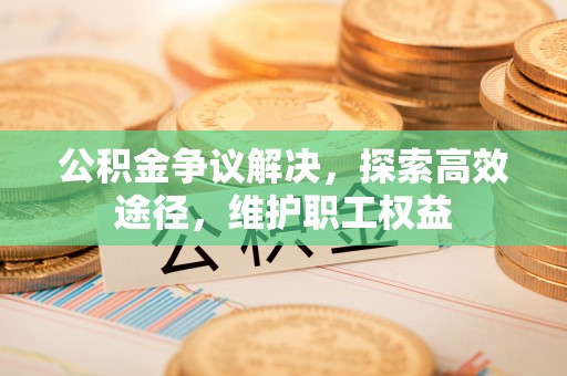 克孜勒苏柯尔克孜公积金争议解决，探索高效途径，维护职工权益
