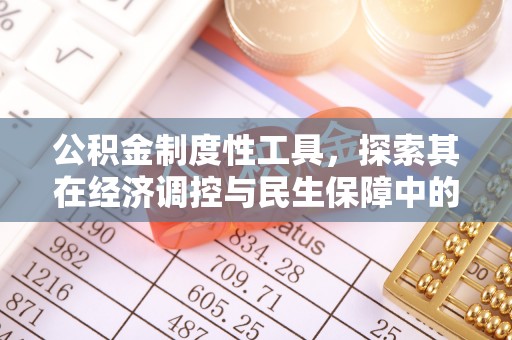 克孜勒苏柯尔克孜公积金制度性工具，探索其在经济调控与民生保障中的重要作用