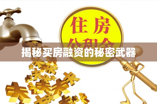 克孜勒苏柯尔克孜揭秘买房融资的秘密武器
