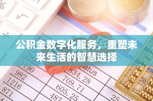 克孜勒苏柯尔克孜公积金数字化服务，重塑未来生活的智慧选择