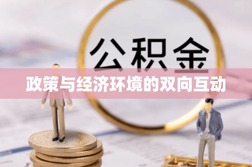 克孜勒苏柯尔克孜政策与经济环境的双向互动
