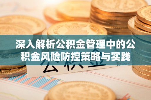 克孜勒苏柯尔克孜深入解析公积金管理中的公积金风险防控策略与实践