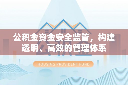 克孜勒苏柯尔克孜公积金资金安全监管，构建透明、高效的管理体系