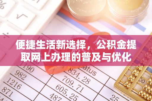克孜勒苏柯尔克孜便捷生活新选择，公积金提取网上办理的普及与优化