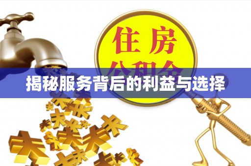 克孜勒苏柯尔克孜揭秘服务背后的利益与选择