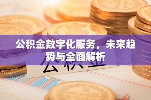克孜勒苏柯尔克孜公积金数字化服务，未来趋势与全面解析