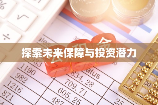 克孜勒苏柯尔克孜探索未来保障与投资潜力