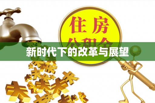 克孜勒苏柯尔克孜新时代下的改革与展望
