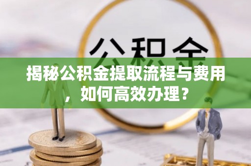 克孜勒苏柯尔克孜揭秘公积金提取流程与费用，如何高效办理？