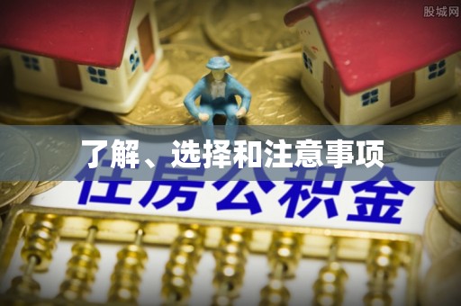 克孜勒苏柯尔克孜了解、选择和注意事项