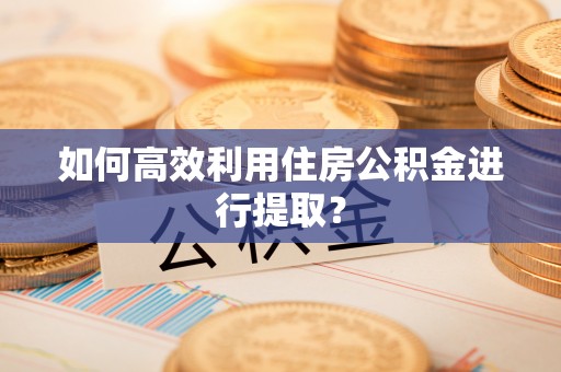 克孜勒苏柯尔克孜如何高效利用住房公积金进行提取？