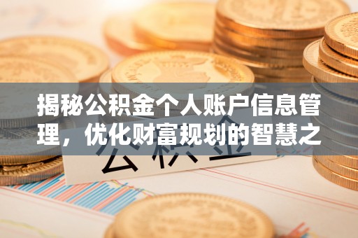 克孜勒苏柯尔克孜揭秘公积金个人账户信息管理，优化财富规划的智慧之选
