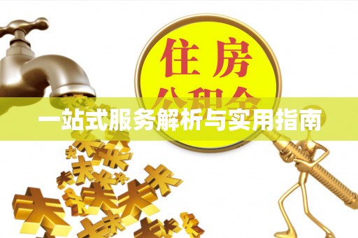 克孜勒苏柯尔克孜一站式服务解析与实用指南