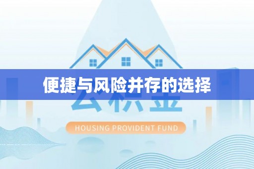 克孜勒苏柯尔克孜便捷与风险并存的选择